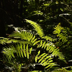 2018-10 Prague/Sächsische Schweiz/DSC_5841.JPG